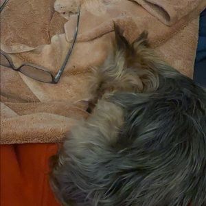 Meet your Posher, Donavyn